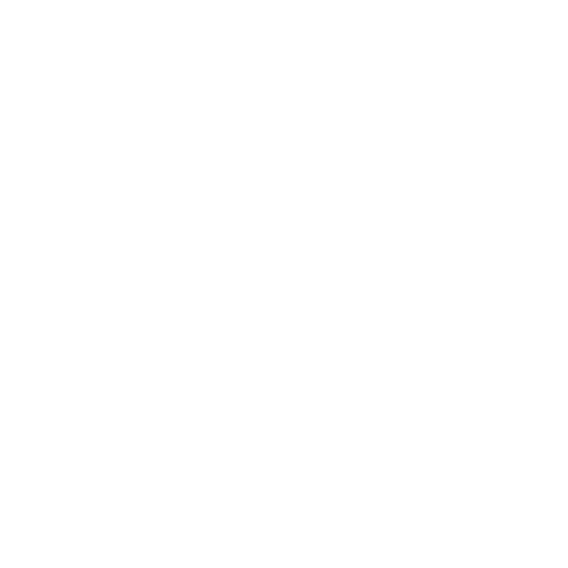 camera (1)