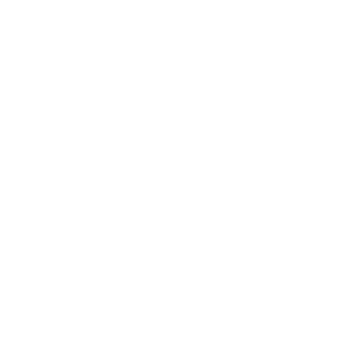 video camera